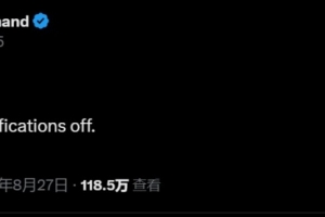 氣炸了??費(fèi)迪南德社媒：深呼吸，睡覺去了，WhatsApp通知已關(guān)閉