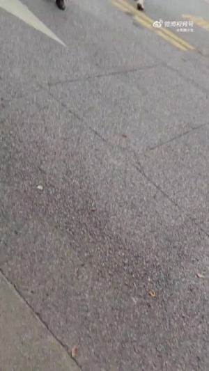 詹姆斯離開交大時大批球迷瘋狂追車被交警不斷鳴哨阻止