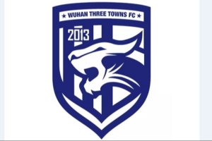 武漢足管中心主任：武漢三鎮(zhèn)正推進股改事宜，已做好凈資調(diào)查工作