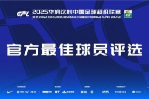中超第24輪最佳球員候選：瓦科、劉若釩、哈達斯、鐘義浩、茹子楠