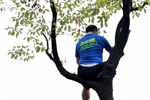 湘超聯(lián)賽推出“掛票”，球迷可坐在樹上看球但禁止“自掛東南枝”