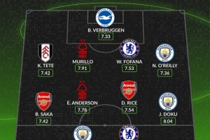 whoscored英超11月最佳陣：安德森、多庫領(lǐng)銜，哈蘭德、賴斯在列