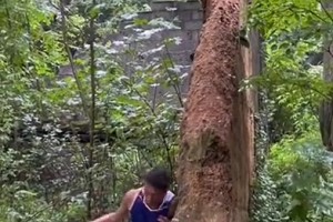 背打鑿穿墻，字母哥看到都要服??