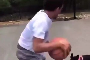 還是你會玩??特雷-楊遭遇小黑狗狗防守，花式運球戲耍+嘲諷~