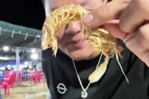 三亞夜宵??朱芳雨談王治郅：他都不用微信的！我私下叫他籃板王