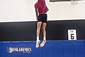 看得出這球迷身高并不矮啊，但依舊遭文班長臂無情站帽+隔扣??