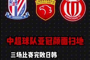 這才是真愛！申花球迷機場接機，并為斯盧茨基獻花