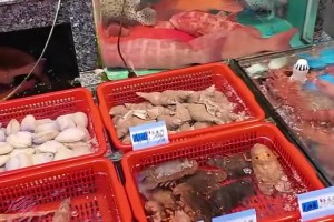 快活啊朱總！這一餐至少也得2、300吧？兄弟們