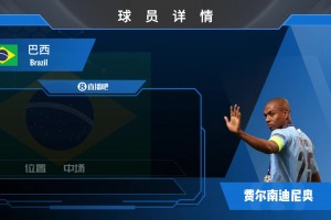 再見費鳥!曼城功勛中場費爾南迪尼奧宣布退役!欣賞下他的賽場瞬間