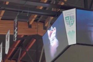 吉尼斯世界紀錄最遠的籃球反彈投籃距離為 30.01 米！